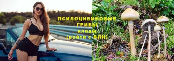 хмурый Белоозёрский