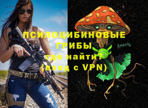 хмурый Белоозёрский