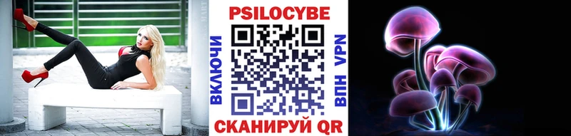 OMG tor  Кузнецк  Галлюциногенные грибы Psilocybine cubensis 