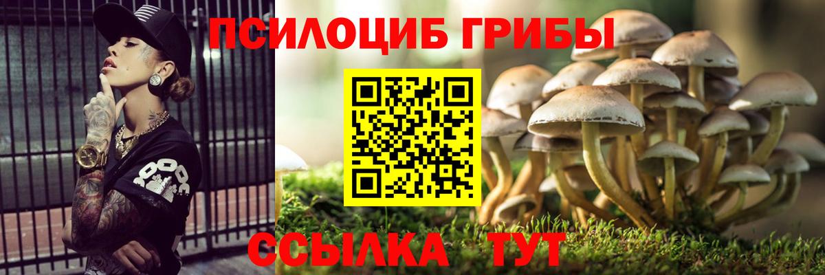 Галлюциногенные грибы Psilocybine cubensis  Вход с VPN  Кузнецк 